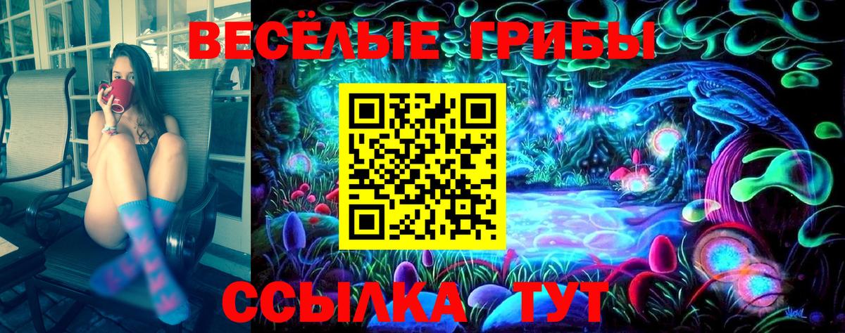 Псилоцибиновые грибы мицелий Узловая