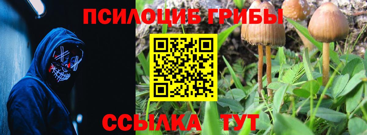 Псилоцибиновые грибы GOLDEN TEACHER  Вход с VPN  Узловая 